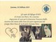 L'Enpa di Sanremo riceve il premio del gruppo Morenews dedicato ai gatti: contest vinto da Francesca Balbo
