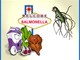 Un pasto indigesto…….parliamo di intossicazioni alimentari Un pasto indigesto…….parliamo di intossicazioni alimentari
