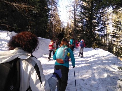Domenica prossima la ciaspolata nel 'Bosco delle Navette' con la Pro Loco Mendatica