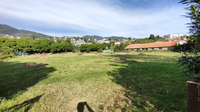 Sanremo: restyling e gestione del Campo Ippico del Solaro, le proposte dovranno arrivare entro tre mesi Sanremo: restyling e gestione del Campo Ippico del Solaro, le proposte dovranno arrivare entro tre mesi