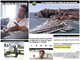 “Do you know Mirko Scarcella?” Nello speciale delle Iene Imperia fa da sfondo a un'avventura del discusso guru di Instagram “Do you know Mirko Scarcella?” Nello speciale delle Iene Imperia fa da sfondo a un'avventura del discusso guru di Instagram