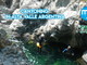 Domenica 30 luglio, una giornata alla scoperta dell’affascinante mondo del Canyoning con l'associazione Monesi Young