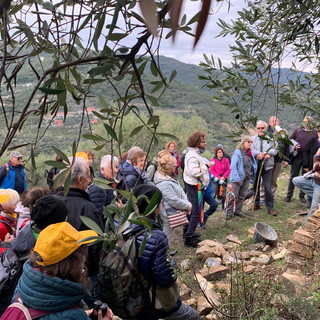 Edizione 2019