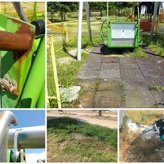 Imperia, la 'Giraffa a Rotelle': "Nessuna risposta dal Comune dopo l'atto vandalico all'altalena inclusiva del parco urbano. Rischiamo di doverla buttare" Imperia, la 'Giraffa a Rotelle': "Nessuna risposta dal Comune dopo l'atto vandalico all'altalena inclusiva del parco urbano. Rischiamo di doverla buttare"