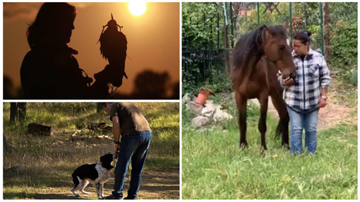 A Triora, dal 7 al 21 marzo, tre seminari su falconeria, cinofilia ed equitazione A Triora, dal 7 al 21 marzo, tre seminari su falconeria, cinofilia ed equitazione