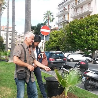Consegnate questa mattina trenta palme nell'ambito del progetto Gerico per la salvaguardia delle piante contro il punteruolo rosso