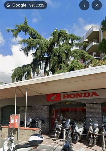 Cedro in corso Cavallotti come era prima