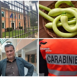 Vallecrosia, ladro seriale di zucchine trombetta finisce a processo: il giudice accoglie il patteggiamento