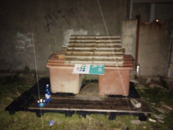 Vallecrosia, incendio distrugge la colonia felina: in poco tempo il gruppo Gattare crea un nuovo rifugio (Foto)