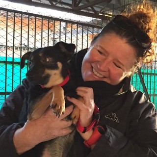 Camporosso: i cani di Giacomo Scotto tornano a Santa Croce. "Blitz" dei volontari del Comune