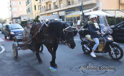 Sanremo: calesse in mezzo al traffico di Pasqua, alla Foce un pezzo di storia della nostra città