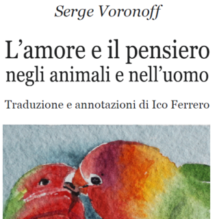 Letteratura e musica… sospese sul mare: cinque sabati estivi organizzati dalla SOMS di Ventimiglia
