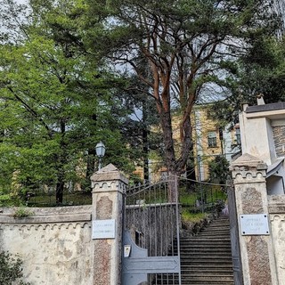 Francesco Bruno di Andora è il nuovo Presidente della Casa di Riposo 'Borelli': l'opposizione "Era meglio un pievese"