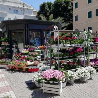 Immagine di repertorio Immagine di repertorio