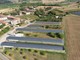 CULTURA ENERGETICA/09 - Agrisolare: incentivi "green" per le aziende aziende della filiera agroalimentare