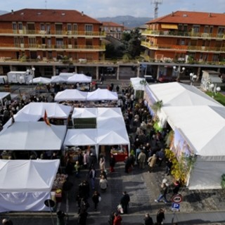 San Bartolomeo al Mare: tutto pronto per la Candelora, il mercato tradizionale all'aperto più caratteristico del ponente ligure