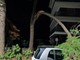 Vallecrosia, paura in via Angeli Custodi: crolla grosso ramo su un'auto (foto)