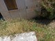 Sanremo, "degrado al cimitero di Armea": la segnalazione (Foto)