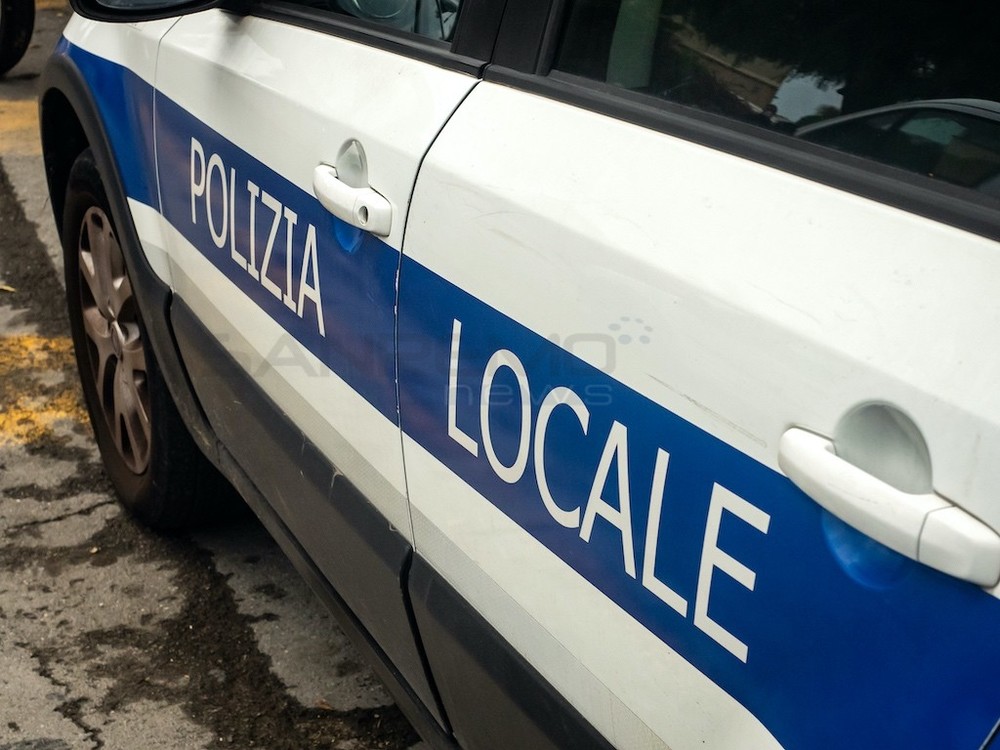 Sanremo, sono 460 gli animali sequestrati nella villa: proseguono le operazioni dopo il blitz