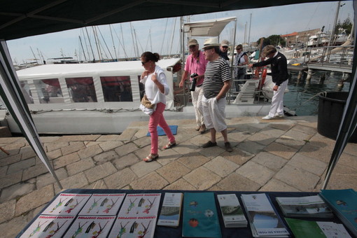 Mancata accoglienza crocieristi, nuovo intervento del CdA di Sanremo Promotion Mancata accoglienza crocieristi, nuovo intervento del CdA di Sanremo Promotion