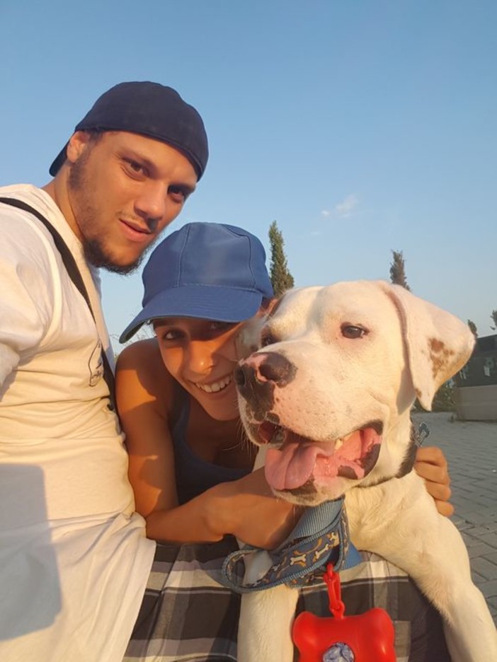 Castellaro: smarrito un cane 'dogo argentino', l'appello del proprietario alla ricerca del suo 'Jay'