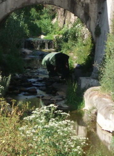 Il cassonetto quando era ancora nel rio Oliveto