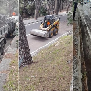 Bordighera investe 600mila euro per il piano asfalti: al via i lavori (Foto)