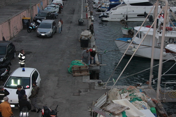 Bordighera: cinghiale ucciso al Porto, Loredana Demer risponde a Calvi Bordighera: cinghiale ucciso al Porto, Loredana Demer risponde a Calvi