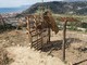 Ventimiglia: situazione difficile e rischio chiusura del canile, raccolta fondi della Lega del Cane Ventimiglia: situazione difficile e rischio chiusura del canile, raccolta fondi della Lega del Cane