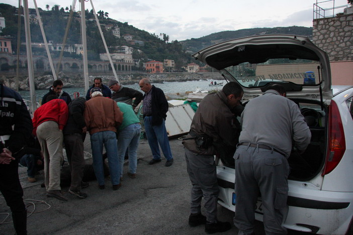Abbattimento del cinghiale ieri a Bordighera: interviene Giovanni Calvi Abbattimento del cinghiale ieri a Bordighera: interviene Giovanni Calvi