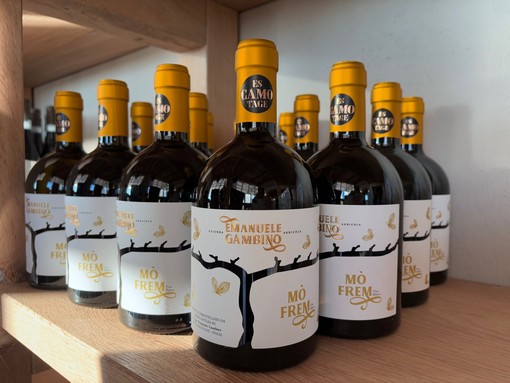 Emanuele Gambino Winery: una giovane eccellenza a Costigliole d’Asti riconosciuta a livello internazionale Emanuele Gambino Winery: una giovane eccellenza a Costigliole d’Asti riconosciuta a livello internazionale