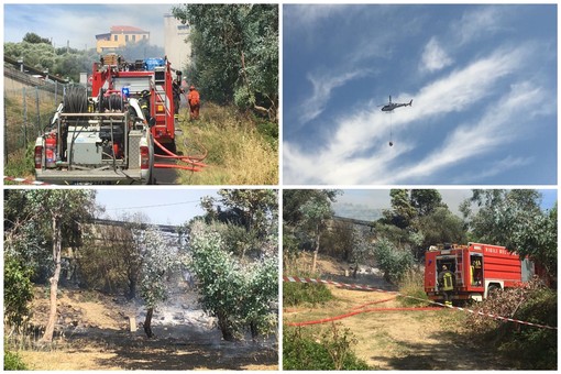 Imperia, incendio in una serra ad Artallo a ridosso dell'autostrada, intervento di protezione civile e vigili del fuoco: in azione anche l'elicottero (foto e video) Imperia, incendio in una serra ad Artallo a ridosso dell'autostrada, intervento di protezione civile e vigili del fuoco: in azione anche l'elicottero (foto e video)