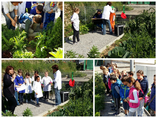 Ventimiglia: bambini della scuola di Latte mostrano il loro orto ai coetanei di Airole con una visita guidata Ventimiglia: bambini della scuola di Latte mostrano il loro orto ai coetanei di Airole con una visita guidata