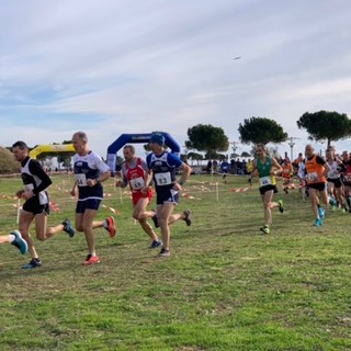 Corsa Campestre, al via domenica il campionato regionale di cross organizzato dal 'Marathon Club Imperia' (Foto) Corsa Campestre, al via domenica il campionato regionale di cross organizzato dal 'Marathon Club Imperia' (Foto)