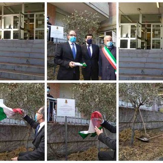 Imperia: una pianta d'ulivo per ricordare il funzionario di polizia Giovanni Palatucci (foto e video)
