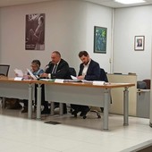 Vallecrosia, verificare lo stato di salute degli alberi ad alto fusto: il consiglio comunale approva la mozione della minoranza