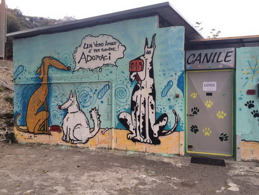 Ventimiglia: la Lega per la Difesa del Cane traccia un bilancio del 2014 e si prepara all'anno nuovo Ventimiglia: la Lega per la Difesa del Cane traccia un bilancio del 2014 e si prepara all'anno nuovo