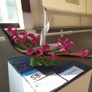 Concluso il 10° concorso internazionale di decorazione floreale ‘Città di Imperia’ - Vele d'Epoca. Titti i premiati (foto)