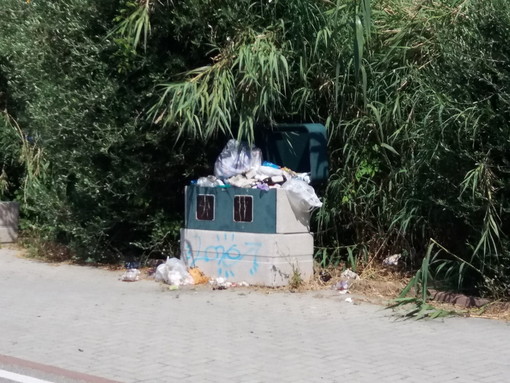 Pista ciclabile in pessimo stato con cassonetti stracolmi, la segnalazione con foto di un lettore Pista ciclabile in pessimo stato con cassonetti stracolmi, la segnalazione con foto di un lettore
