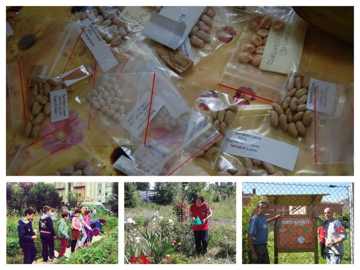 Festa di Primavera: Semi, Fiori e Sport, anche dalla nostra provincia domenica 26 aprile a Torino Festa di Primavera: Semi, Fiori e Sport, anche dalla nostra provincia domenica 26 aprile a Torino