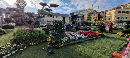 #Sanremo2022: terminato l'allestimento di un grande prato verde in piazza Colombo attorno a 'Casa Siae' (foto)