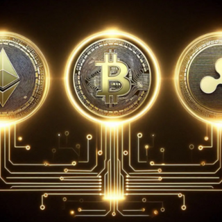 Dalle risorse digitali al cloud computing: FLAMGP inaugura una nuova era di guadagno: registrati subito e ricevi 100 dollari Dalle risorse digitali al cloud computing: FLAMGP inaugura una nuova era di guadagno: registrati subito e ricevi 100 dollari