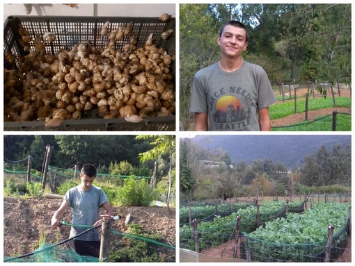 Chiusura serale dei ristoranti e conseguenze per la filiera, la storia dell'imperiese Matteo Passino, allevatore di lumache: "Lo Stato sostenga anche noi"