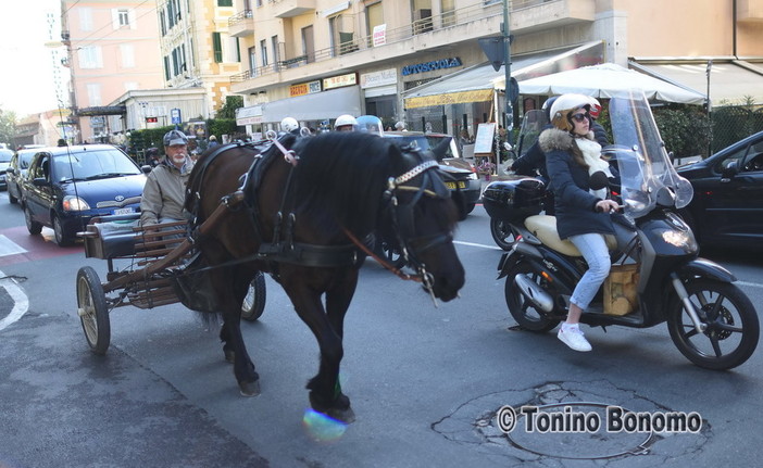 Sanremo: calesse in mezzo al traffico di Pasqua, alla Foce un pezzo di storia della nostra città