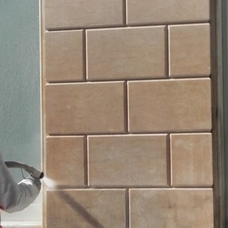 Avete un appartamento con giardino o una villa in campagna e le mosche vi infastidiscono? Abitate in un condominio, ma vi vergognate di invitare i vostri amici    a casa perché le scale sono molto sporche? Nessun problema c'è la COAPI!