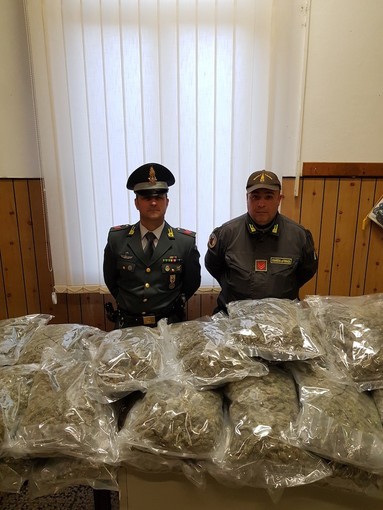 Ventimiglia: cani antidroga trovano oltre 42 kg di marijuana nascosta in un camion, arrestati due romeni