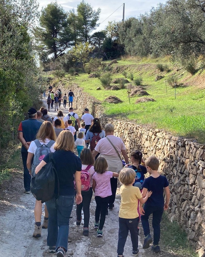 A Diano Arentino la Camminata tra gli olivi