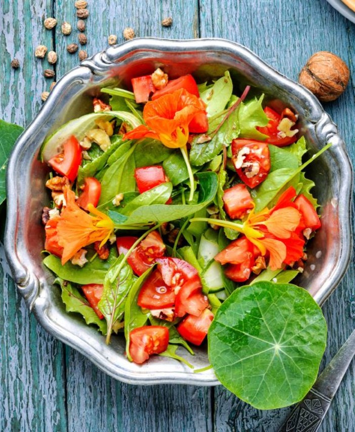A Sanremo l’evento di chiusura del Progetto Interreg-Alcotra dedicato ai fiori eduli ed alle erbe aromatiche A Sanremo l’evento di chiusura del Progetto Interreg-Alcotra dedicato ai fiori eduli ed alle erbe aromatiche