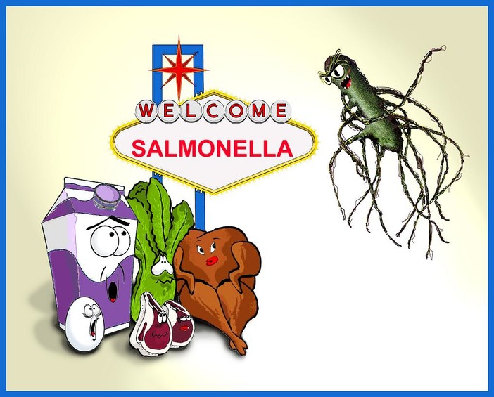 Un pasto indigesto…….parliamo di intossicazioni alimentari
