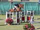 Equitazione: alla 2a giornata del Concorso internazionale al Solaro di Sanremo, svetta lo svizzero Daniel Ettel